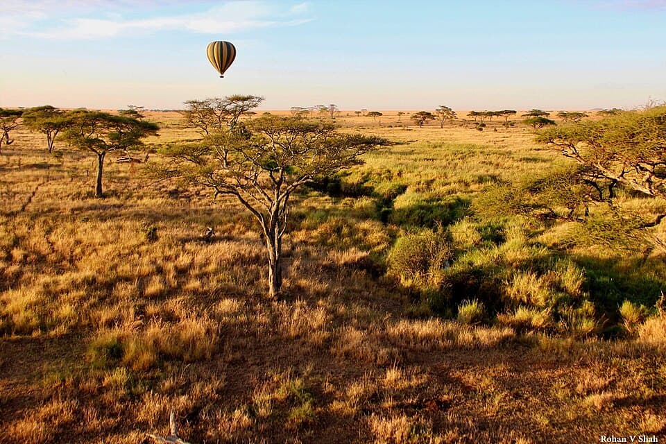 safari balon iznad ravnica serengetija tanzanija