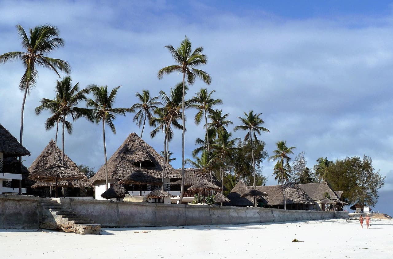 kucice na pjescanoj plazi na Zanzibaru